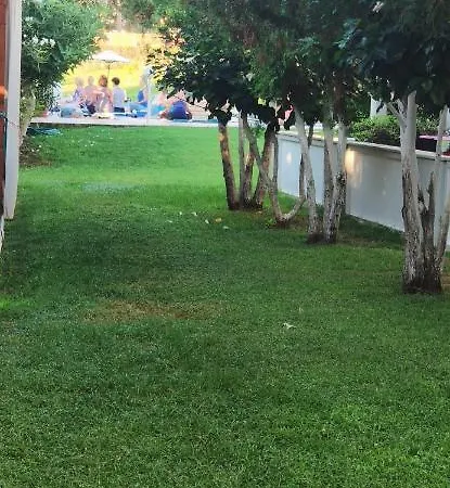 Peli Κίσσαμος